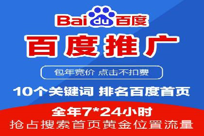 SEM推广策略：成功案例解析与效果评估
